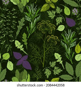 Seamless pattern with spicy herbs on black. Color vector illustration. Perfect for design templates, wallpaper, wrapping, fabric and textile.