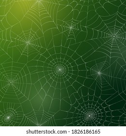Seamless pattern with spider web. Halloween decoration with cobweb. Spiderweb flat vector illustration. Isolated graphic. Horror, fear, creepy cartoon art concept. Outline sketch on green background.