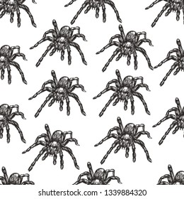 Seamless pattern of spiders on white background.