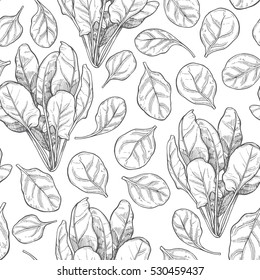 Seamless pattern with spinach. Contour vector illustration. Food background.