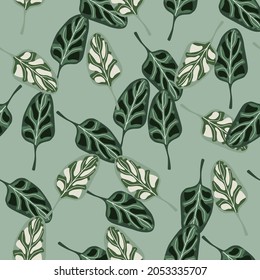 Seamless pattern Spinach salad on pastel teal background. Abstract ornament with lettuce. Random plant template for fabric. Design vector illustration.
