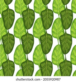 Seamless pattern Spinach salad on white background. Modern ornament with lettuce. Geometric plant template for fabric. Design vector illustration.