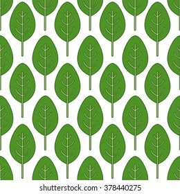 seamless pattern. spinach. vector illustration