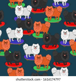Seamless pattern with spitz dogs skateboarding. Vector graphics.