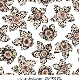 Seamless pattern with spotted stapelia flowers on white background.