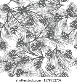 Seamless pattern - sprigs of pine . Vector background for design