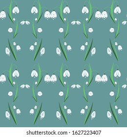 Seamless pattern of spring early snowdrop flower with green leaves for Wallpaper, fabrics, scrapbooking, printing