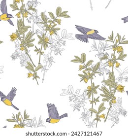 seamless pattern with spring flowering honeysuckle and tit birds, vector drawing branches with yellow flowers and green leaves at white background , hand drawn illustration