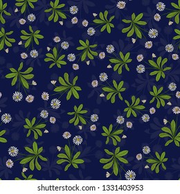 Seamless pattern with spring flowers english daisy. Hand drawn botanical vector illustration