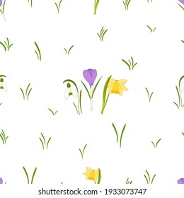 Seamless pattern with spring flowers. Floral texture on white and transparent backgrounds.