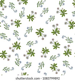 Seamless pattern with spring flowers. Hand drawn botanical vector illustration