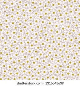 Seamless pattern of spring pink sakura flowers