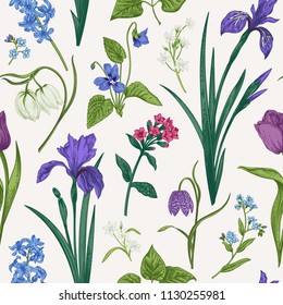 Seamless pattern with spring and summer flowers and herbs. Botanical illustration. Vintage vector backgrod.
