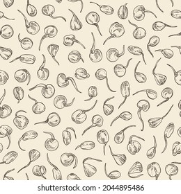 Seamless pattern with sprouts: seedlings of various cereals and legumes. Superfood. Vector hand drawn illustration