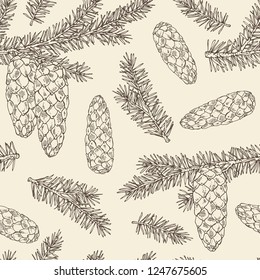 Seamless pattern with spruce: branch of spruce with cone. Cosmetics and medical plant. Vector hand drawn illustration.