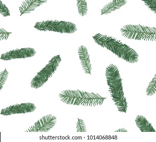 Seamless pattern of spruce, hand drawn botanical print. Seasonal wallpaper, winter background, textile fabric, texture design on white