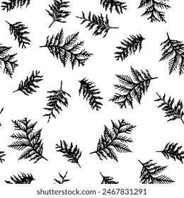 Seamless pattern with spruce tree branches. Winter Christmas branches, hand drawn twigs. 