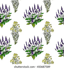 Seamless pattern St. John's wort and sage