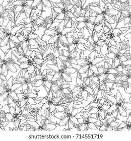 Seamless pattern with St. John's wort medical botanical blossom plant. hand drawn vector black and white texture in white background