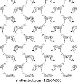 Seamless pattern of standing cheetah on white background. Vector 8 eps
