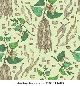 Seamless pattern with stemona tuberosa: stemona plant, leaves, flowers and stemona tuberosa root. Cosmetic, perfumery and medical plant. Vector hand drawn illustration.