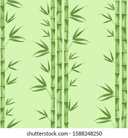 Seamless pattern with stems and leaves of bamboo on a green background. Vector illustration of tropical asian plant in cartoon flat style.
