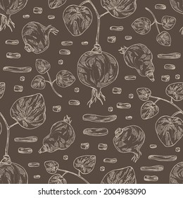 Seamless pattern with stephania glabra: stephanie smooth  plant and stephanie smooth tuber. Cosmetic and medical plant. Vector hand drawn illustration