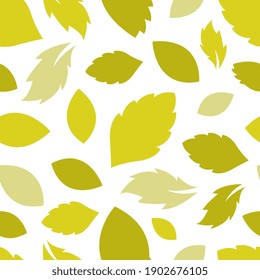 Seamless Pattern with Stevia Herb Leaves Vector Background
