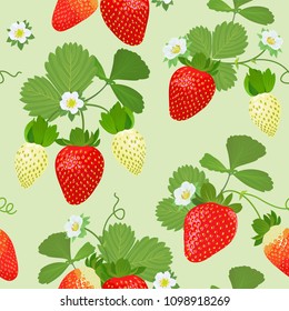 La planta de fresas es de hojas, tallos y flores sobre una plantilla de fondo verde. Conjunto vectorial de elementos frutales para publicidad, diseño de embalaje de productos de fresa.