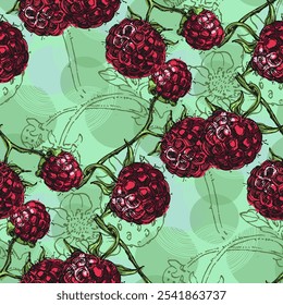 Nahtloses Muster mit Erdbeeren und Himbeeren. Farbskizze Stil handgezeichneter Hintergrund. Detaillierte Abbildung, handgezeichnet. Ideal für Stoff und Textilien, Prints, Einladungen, Verpackungen