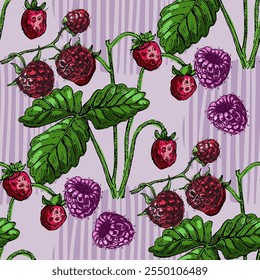 Seamless Pattern with strawberries and raspberries. Color sketch style hand drawn background. Detailed illustration, hand drawn. Great for fabric and textile, prints, invitation, packaging