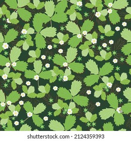 seamless pattern with strawberry bushes: flowers, leaves, inflorescences. vector graphics