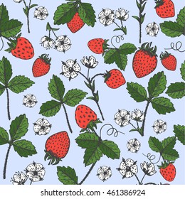 Seamless pattern with strawberry. Hand drawn sketch berry.Background for jam, natural and organic products. 