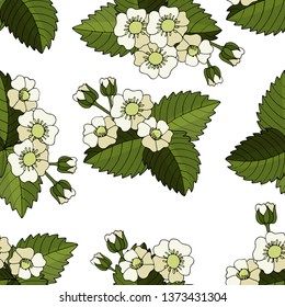 Seamless pattern with strawberry isolated on white vector realistic illustration. Seamless with strawberry.