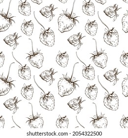 Seamless pattern with strawberry. Vector hand drawn illustration.Design for cosmetics, spa, health care products and perfume. Best for textile, wrapping paper, post cards and farmers market.