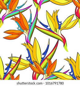 seamless pattern strelitzia bird of paradise flower  vector illustration
