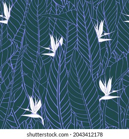 Seamless pattern with strelitzia flowers and leaves. Dark  floral print with bird of paradise or crane flower. Texture with plants for fabric, home decor. Outline drawing, sketch of tropical foliage.