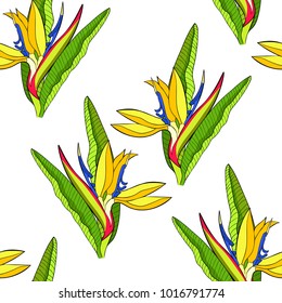 seamless pattern strelitzia with leaves bird of paradise flower  vector illustration