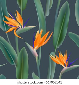 Seamless pattern with Strelitzia Reginae flower known as crane flower, bird of paradise. South African flowering plant background vector. Fabric print, textile with green leaves and orange blossom.