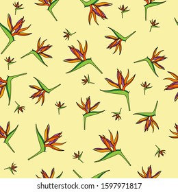 Seamless pattern with Strelitzia reginae flowers, for textiles, packaging, backgrounds, embossing and texture. Bright modern colors.