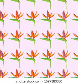 Seamless pattern with Strelitzia reginae flowers, for textiles, packaging, backgrounds, embossing and texture. Bright modern colors.
