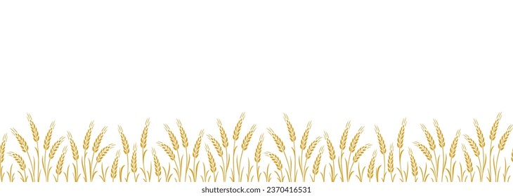 Seamless pattern stripe with wheat, oat, barley, rye, wheat ears stalks silhouette on white background