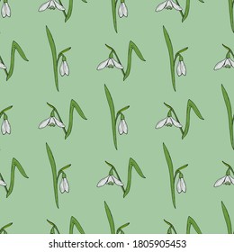 Seamless pattern with stylish snowdrops on light green background. Vector image. 