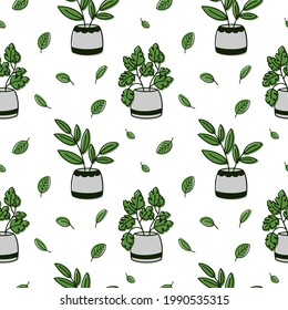 Seamless pattern with stylized houseplants, house plants in pots. Vector illustration on white background. 