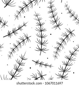 Seamless pattern with stylized meadow horsetail plant on white background