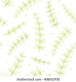 Seamless pattern with stylized meadow horsetail plant on white background