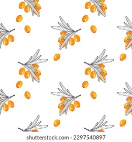 Seamless pattern with stylized sea buckthorn. Fresh sea buckthorn on a white background with leaves. Wallpaper, print, wrapping paper. Vector illustration.