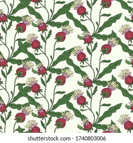 Seamless pattern with stylized thistle flowers.