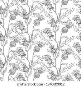 Seamless pattern with stylized thistle flowers.