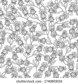 Seamless pattern with stylized thistle flowers.